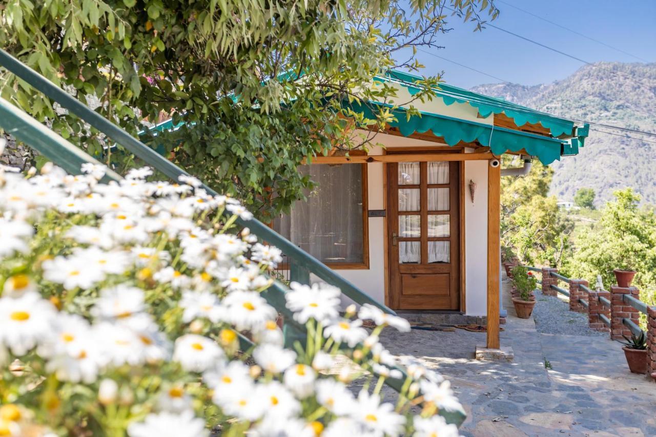 Seclude Ramgarh Willows Buitenkant foto